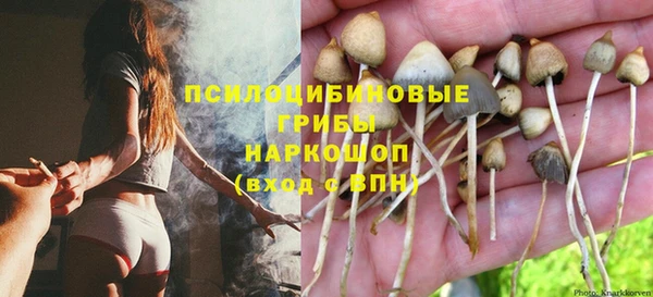 меф Богородск