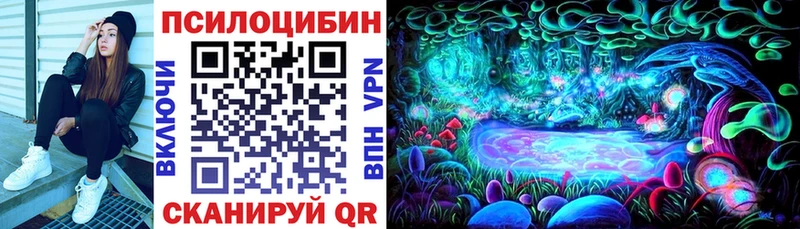 Галлюциногенные грибы GOLDEN TEACHER  где продают наркотики  Болохово 